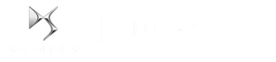 DS Zdunek Logo